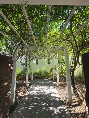 a walkway leading to a building with trees at West Ave in Miami Beach