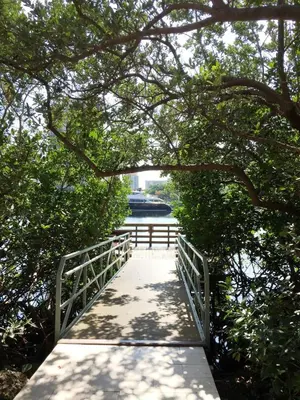a bridge over a body of water with a fence at The Yacht Club at Aventura Miami 3405 in South Island