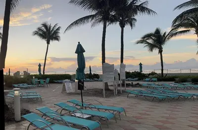 a group of beach chairs and an umbrella and palm trees at Hollywood Beach, Miami, Oceanfront retreat in Hollywood