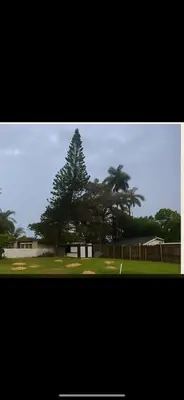 a tree in the middle of a golf course at Santorini Wynwood in Miami