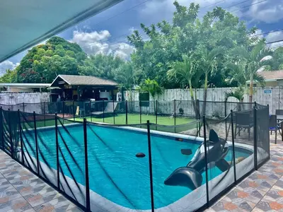 a swimming pool with a dolphin in the water at Better Experience Property in Miramar