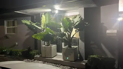 two plants in white pots on a wall at Villa la Morada - Live stress-free in fully furnished, all-inclusive corporate housing! in Miami