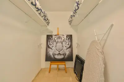 a room with a television and a picture of a tiger at Hollywood Tropical Paradise vibe waterfall pool villa in Hollywood
