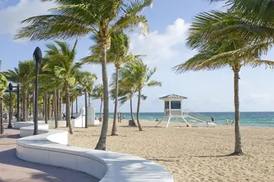 a sandy beach with palm trees and a playground at Central Fort Lauderdale 2BR Cottage Near Beach in Fort Lauderdale
