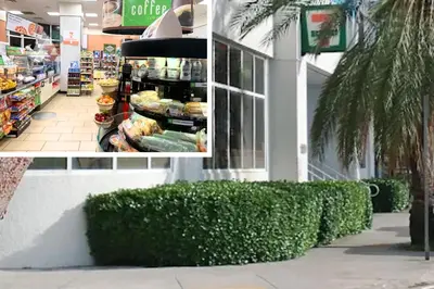 a store with a bush in front of a store at Sky-High Urban Sanctuary with Coastal Glimpses in Miami