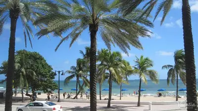 a car parked on a beach with palm trees at 2 BR-11th Floor Corner Unit - Fort Lauderdale Beach Resort in Fort Lauderdale