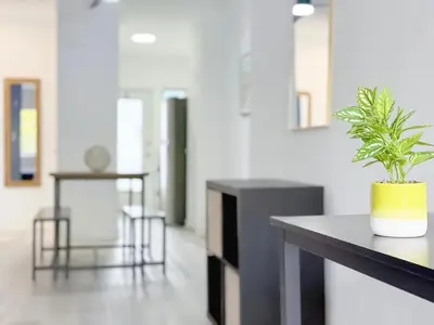 a potted plant sitting on a table in a room at 1BR Miami Beach Apt with 3 Queens plus Free Parking in Miami Beach