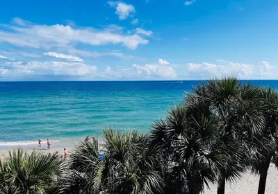 a beach with palm trees and people on the beach at The Tides on Hollywood Beach in Hollywood