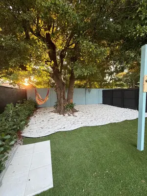 a tree in the middle of a yard at 78 Tropical soak in Miami