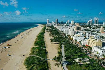 a beach with palm trees and the ocean and a city at Shepley South Beach Hotel in Miami Beach