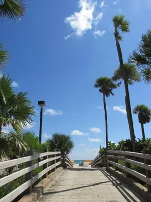 a wooden path leading to the beach with palm trees at Ocean Blue in Miami Beach
