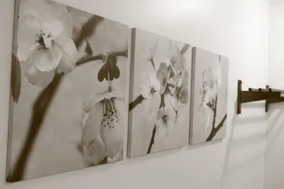 a row of pictures of flowers on a wall at Collins Hotel in Miami Beach