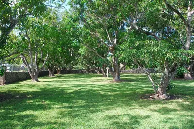 a park with trees and green grass and trees at La Finca in Miami