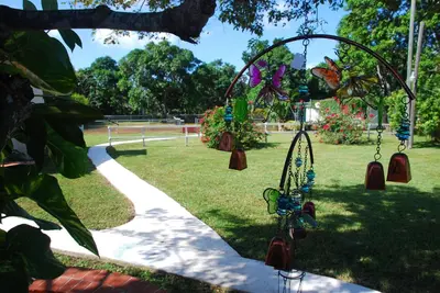 a group of bells hanging from a tree in a park at La Finca in Miami