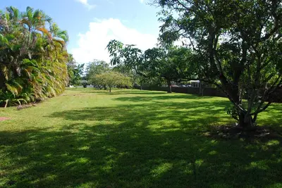 a green field with a tree in the middle at La Finca in Miami