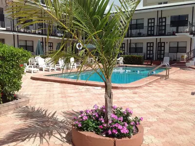 a palm tree in a pot next to a swimming pool at Napoli Belmar Resort in Fort Lauderdale