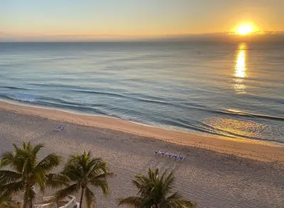 a beach with palm trees and the ocean at sunset at Pelican Grand Beach Resort, a Noble House Resort in Fort Lauderdale