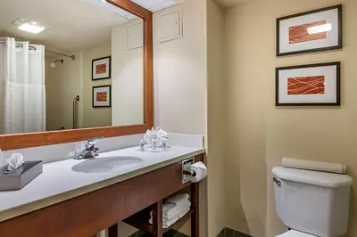 a bathroom with a sink and a toilet at Comfort Suites Miami - Kendall in Kendall