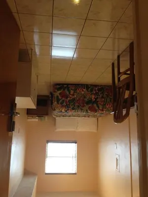 a room with a rug on the ceiling and a window at Collins Avenue Hostel in Miami Beach