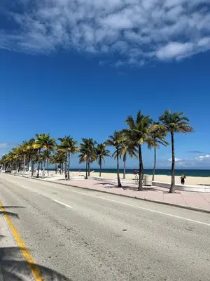 an empty street with palm trees on the beach at King condo Fort Lauderdale Central beach in Fort Lauderdale
