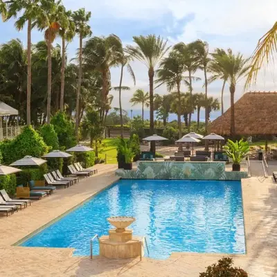 Kimpton Surfcomber Hotel by IHG