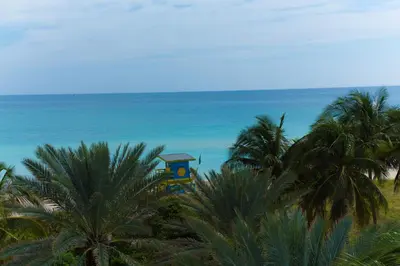 a view of the ocean from a beach with palm trees at Broadmore Miami Beach in Miami Beach