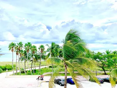a palm tree in front of a parking lot with cars at Broadmore Miami Beach in Miami Beach