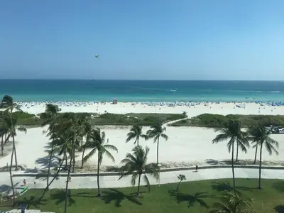 a view of a beach with palm trees and the ocean at Hotel Victor South Beach in Miami Beach