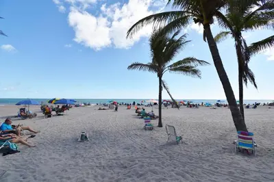 a group of people on a beach with palm trees at Modern Loft wBed Steps from Beach Boardwalk in Hollywood