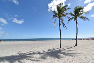 two palm trees on a sandy beach with the ocean at Modern Loft wQueen Loft Steps to Beach in Hollywood