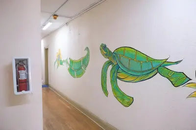 a wall with a drawing of a turtle on it at Migue´s Tiny Miami Alcove in Miami
