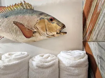 a fish hanging on a wall next to some towels at The Captain's Quarters - Home & Guesthouse in Fort Lauderdale