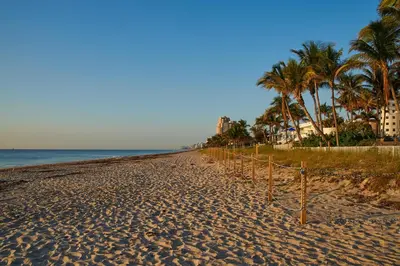 a sandy beach with palm trees and the ocean at Lovely apartment on the canal with a pool in Fort Lauderdale