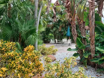 a garden with a table and chairs and palm trees at Tropi Rock in Fort Lauderdale