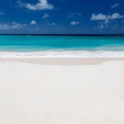 Luxury Miami Condos