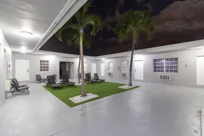 two palm trees in a room with chairs at Modern studio wqueen bed beach views in Hollywood