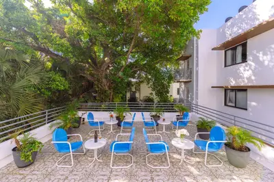 a patio with blue chairs and tables and a tree at Notebook Miami Beach in Miami Beach