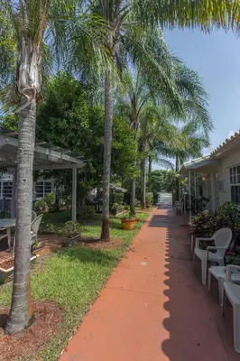a sidewalk with palm trees and white benches at Richard's Motel Extended Stay in Hallandale Beach