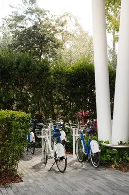 a group of bikes parked next to each other at Mr. C Miami - Coconut Grove in Miami