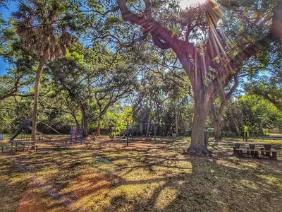 a park with a playground with a tree and benches at Flamingo Place - One block to Lauderdale Marine Center - 3 bedroom - 2 bath - King bed in Fort Lauderdale