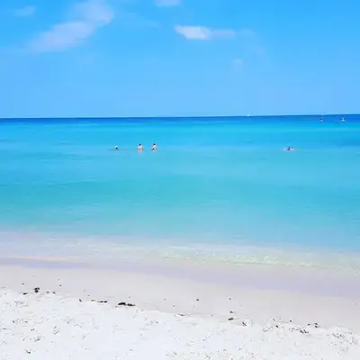 Miami Hollywood Condo for 4 People 001-21vic