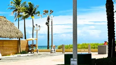 a view of the beach with palm trees and the ocean at Hollywood Sunrise in Hollywood