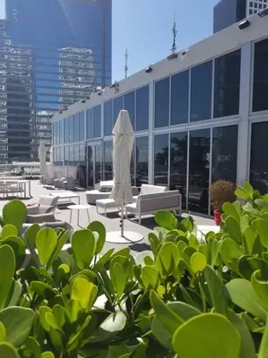 a building with a bunch of green bushes in front of it at Iconbrickell in Miami