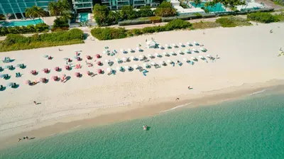 an overhead view of a beach with chairs and umbrellas at Monte Carlo Miami Beach in Miami Beach
