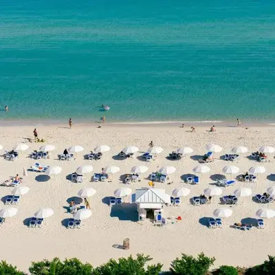 Monte Carlo Miami Beach