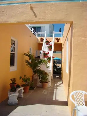 a hallway of a house with stairs and potted plants at Atlantic Sands Beach Suites in Hollywood