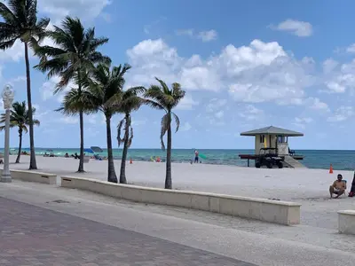 a beach with palm trees and a lifeguard shack at The Flamingo in Hollywood