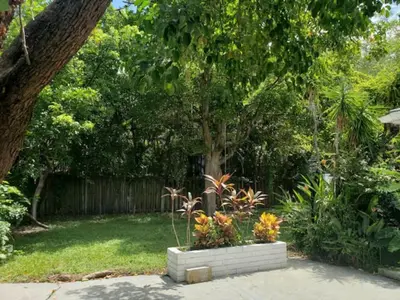 a garden with a tree and flowers in a yard at Apts with Backyard Near Fort Lauderdale Beach, Nightlife, Cruise Port, Airport in Fort Lauderdale