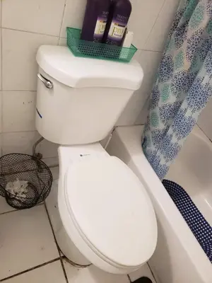 a bathroom with a white toilet and a bath tub at Miami Cheapest Place in Miami