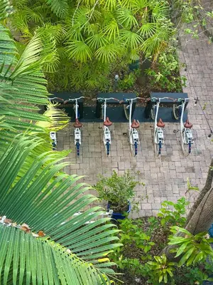 a row of bikes parked under a table at Circa 39 Miami Beach in Miami Beach